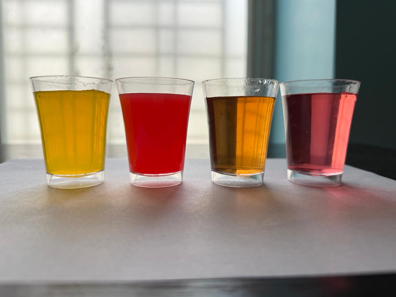 BEVERAGE – GLASS BOTTLES,CANS, ASEPTIC POUCH AND TETRA PACK